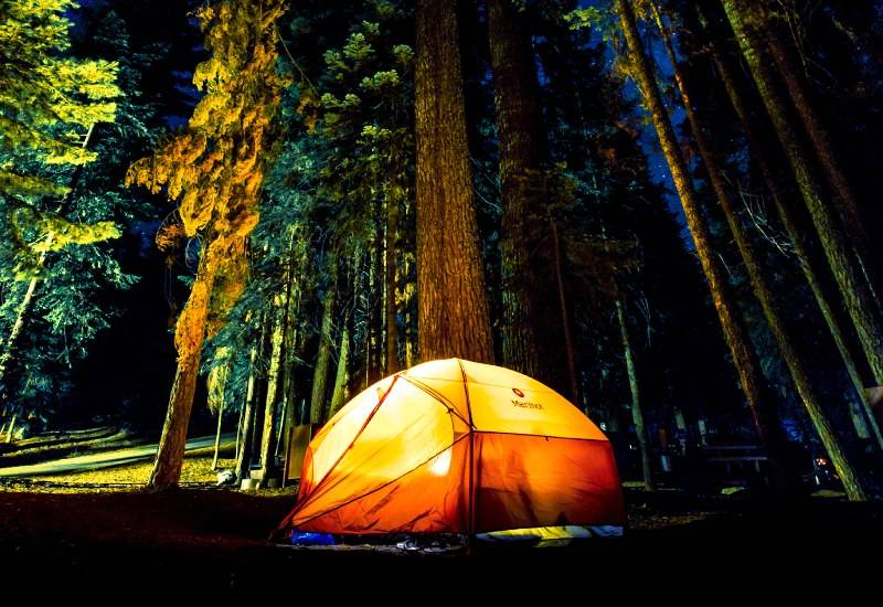 Bonfire & Camping